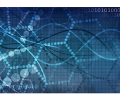 Growth Strategy and Organizational Effectiveness