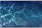 Growth Strategy and Organizational Effectiveness
