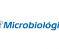 Micro