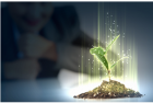 Regional Growth Strategy and Process Design